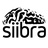 siibra-configurations